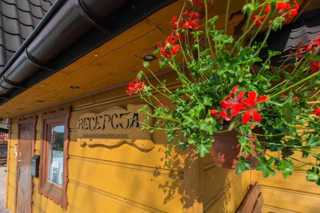 Willa Stachoniowka Zakopane Extérieur photo